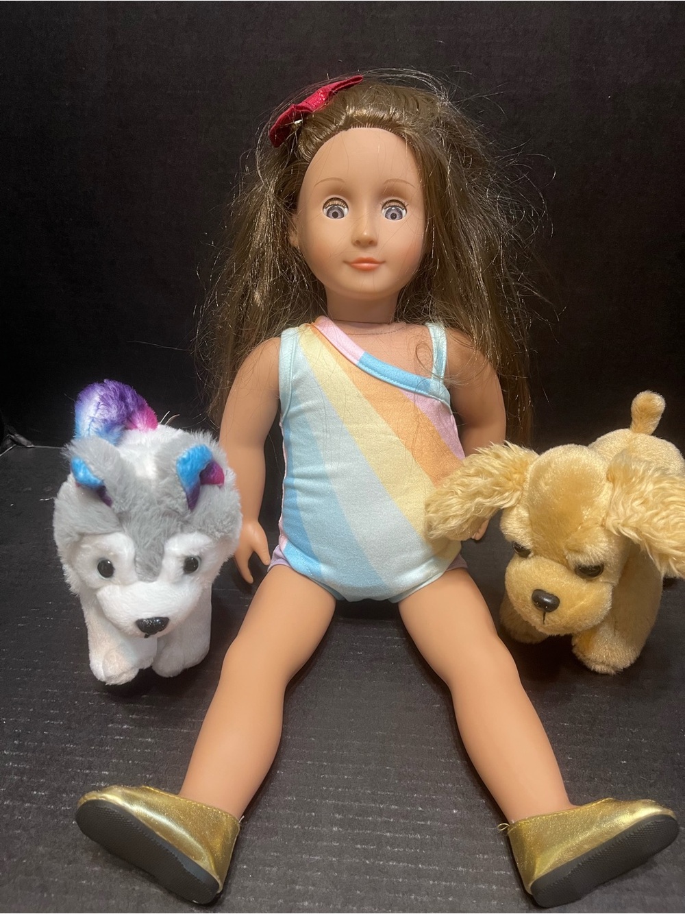 18-inch Our Generation doll (Target brand) and two dog lot brown hair blue eyes